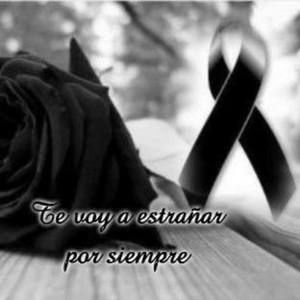 Meet your Posher, Cecilia